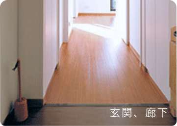 玄関、廊下